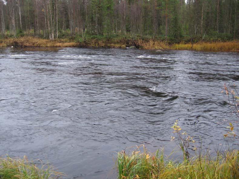 Valkeajoki 6. Kuva 8.