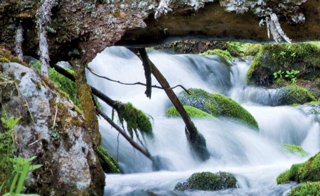 4. Elinympäristökunnostukset Virtavesikunnostusten biologisena lähtökohtana on palau!aa kunnostustoimenpitein virtavesien monipuolinen ranta- ja jokiympäristö.