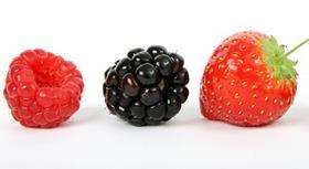 LÄPIMITTA (cm) Myyntihinta 81102 0,8 litraa 12,0 Yksittäin 0,12 kpl 81106 2,0 litraa 16 Yksittäin 0,32 kpl 81108 3,2