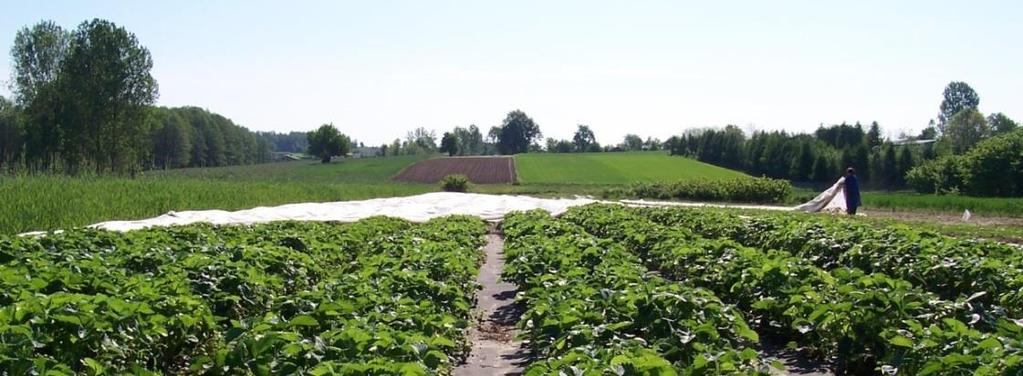 275,12 rulla 20300 20728 13,65 x 250m RE harso 296,85 rulla UV suojaus 260x580mm 20729 15,80 x 100m RE harso 137,45 rulla 100kpl nippu, paalissa 1000kpl 20730 15,80 x 250m RE harso 343,62 rulla 20731
