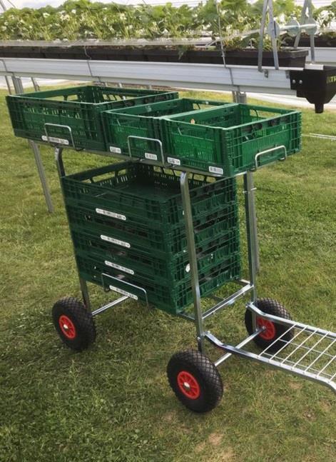 Pakkauslistapussi Kulmasuoja Sidontavanne Kiristin 162x120 50 / 1000 kpl 20680 3,5mm paksu 50x50x1500mm 0,40 / kpl 20706 13 mm x 1100m 77,82 / kpl 20707 13 mm muovivanteelle 84,03 / kpl 20696