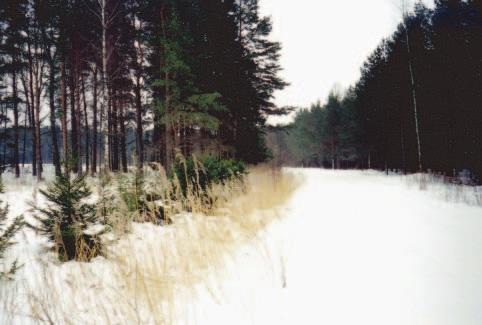 2 Märts 2005 Eestimaa Rahvaliidu ajaleht AGU UUDELEPP, Rahvaliidu teabejuht Üleminekust üleminemine P resident Arnold Rüütel ütles Eesti Vabariigi 87.