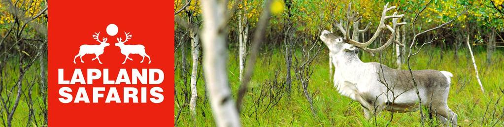 ROVANIEMEN KEVÄÄN, KESÄN JA SYKSYN SAFARIT 2018 Lähde kanssamme kokemaan Lapin taika ja tunne kuinka luonto antaa energiaa! 1. MATKAMUISTO LAPISTA (10.00 14.