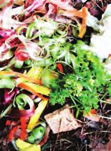 Biojätteet kompostiin Suotuisissa olosuhteissa pieneliöt hajottavat eloperäistä ainetta. Kompostoinnissa pyritään luomaan mahdollisimman hyvät olosuhteet pieneliöille.