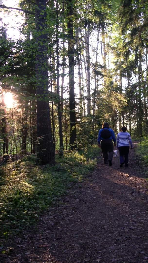 Sidonnaisuudet Finohtan päällikkö IJTAHCin päätoimittaja Tutkimusapuraha EU Finohta INAHTAn ja HTAi:n hallitusten jäsen, kulukorvauksia Luentopalkkioita ja kulukorvauksia (mm.