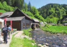 patikointiretket viitenä päivänä, patikointiretkiin liittyvät kuljetukset Schwarzwald Schwarzwald Mustametsä on Saksan lounaisosissa oleva laaja kukkulainen metsäalue, johon olemme törmänneet