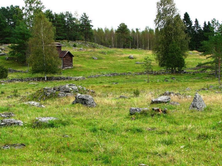 Maakunnan palvelukokonaisuudet Sosiaali- ja terveydenhuollon palvelut Kasvupalvelut Liikennepalvelut Pelastus- ja turvallisuuspalvelut Alueiden kehittämispalvelut Alueidenkäytön palvelut