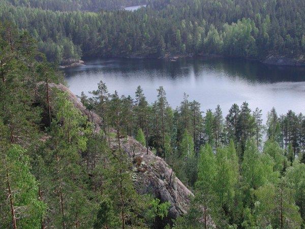 Luonnonsuojelu Edistäminen maakuntiin ja viranomaistehtävät Luovaan METSO-ohjelman toteutus painotuksina kohteiden vaikuttavuus, keskinäinen kytkeytyvyys ja yhteys Fennoskandian vihreään