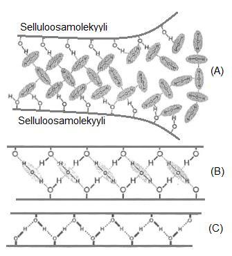 17 Kuva 5. Vetysidosten muodostuminen selluloosan ketjumolekyylien välille. Mukailtu (Häggblom-Ahnger et al., 2003). 2.2.3 Formaatio Formaatio tarkoittaa kartongin pienimittakaavaista neliömassan vaihtelua.