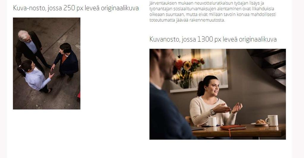 originaalikuva skaalataan palstaan sopivaksi, kapea