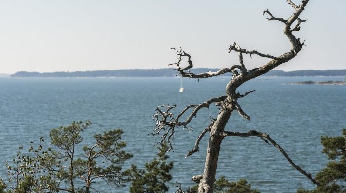 veneilijöiden huomioiminen messupalveluna ja asumisen osana rantarakentaminen on oleellinen osa messualueen