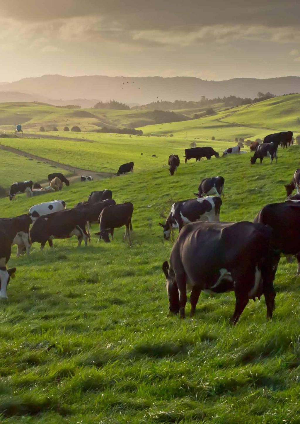 DeLaval Herd Navigatorin biomalli DeLaval Herd Navigatorin avulla edistykselliset maidontuottajat voivat hallita karjaansa ennaltaehkäisevästi.