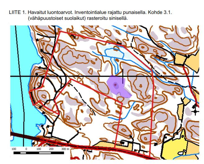Luontokohteiden luettelosta Tamminiemen luonnonsuojelualue (jalopuumetsä, kohdenumero 130) on merkitty SL merkinnällä ja suojeluperusteena on Lounais Suomen ympäristökeskuksen suojelupäätös 8.7.2004.