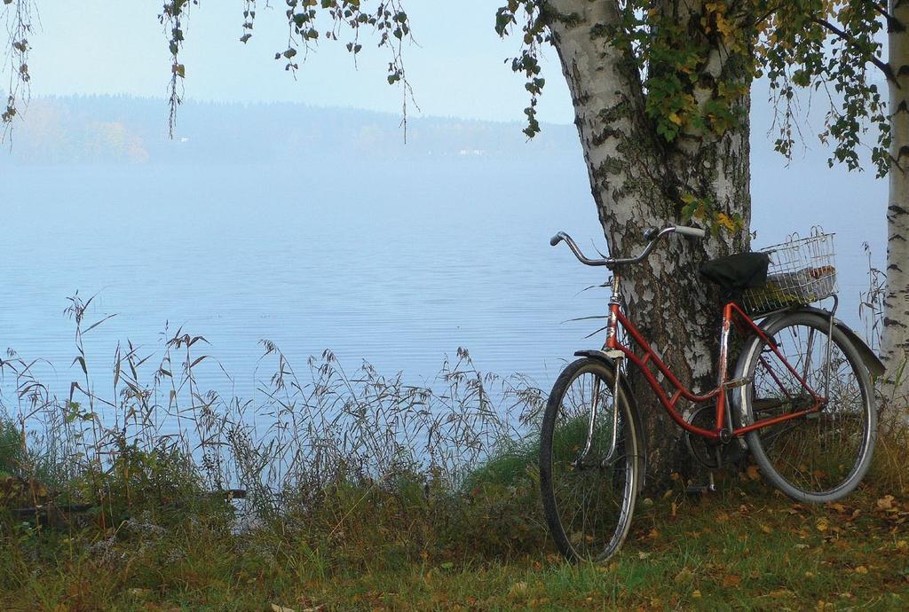 karhennuspaperi vulkanointineste