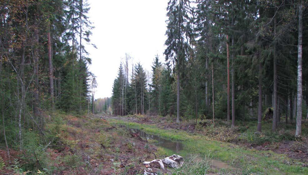 Asemkvn muuos j kumominen ASEMAKAAVASELOSTUS Kvehdous..0 PERUS JA TUNNISTETIEDOT. Tunniseiedo PORVOO AURINKOLAAKSONTIE.