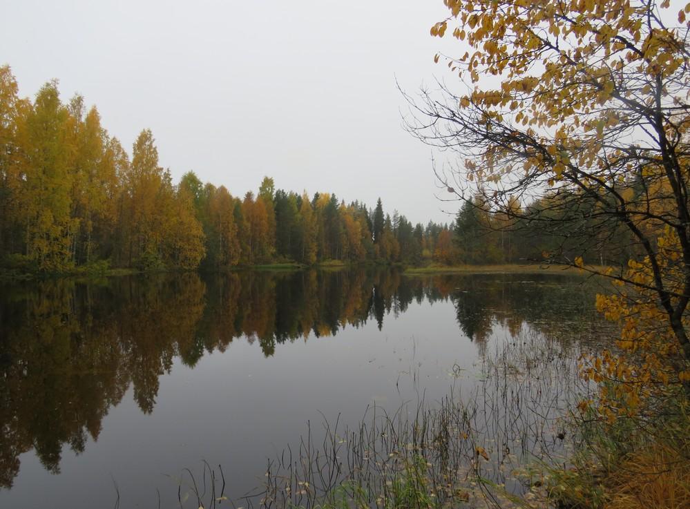 Puolivälissä koskea on pieni kalliosaari, jonka kohdalla on sijainnut 1800-luvulla vesimylly.