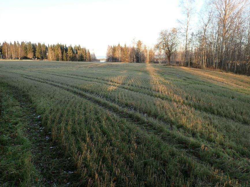 9 jonne tehdystä koekuopasta löydettiin pieni kvartsikaavin (katso raportin kohde 1 Laitila). Lukuisista sen lähelle tehdyistä koekuopista ei saatu mitään havaintoja esihistoriasta.