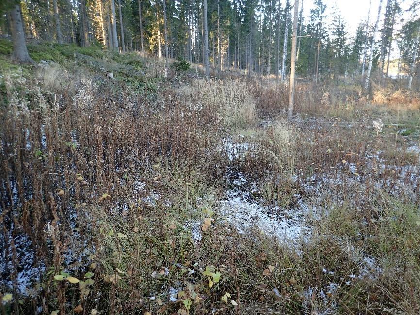 Alueen eteläosan peltojen (Vatajanjokeen laskevien) topografia on loiva, eikä niissä ole selvää vanhaa rantatörmää, kuten alueen koillisosassa.