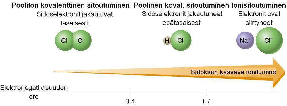 δ Esimerkki O H δ + χ O = 3,5 χ H = 2,1 χ = 3,5 2,1 = 1,4 Huom! Poolisia molekyylejä sanotaan dipoleiksi (di-pole= kaksi napaa).