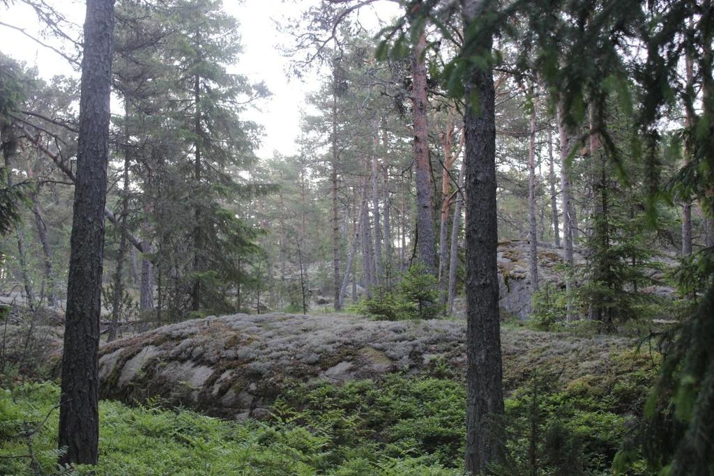 Friisilä, Pukholma, Langstet, Isokluuvi ja Pohjavuori