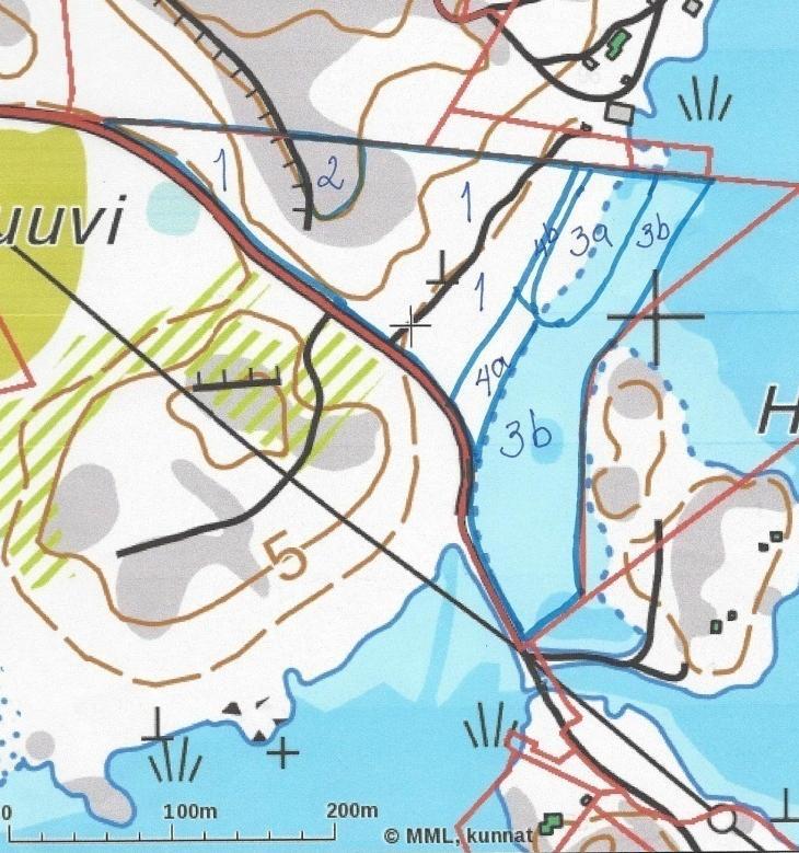 metsätähteä, ketohanhikkia, punakoisoa, mesiangervoa ja järviruokoa. Kuvio on käenkaalimesiangervotyypin kosteaa suurruoholehtoa (OFiT). Lehto on metsälain tarkoittama erityisen tärkeä elinympäristö.