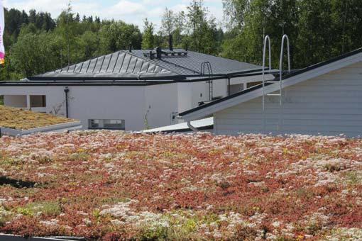 toimintatapojen kehittäminen Ilmastonmuutokseen sopeutuminen hulevesien hallinta: määrä ja laatu pienilmaston säätely: kosteuden sitominen, tuulilta ja paahteelta suojaaminen hiilen sitominen myös