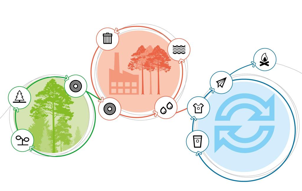 FOREST INDUSTRY IS BASED ON BIOECONOMY AND CIRCULAR ECONOMY PRODUCTION THAT