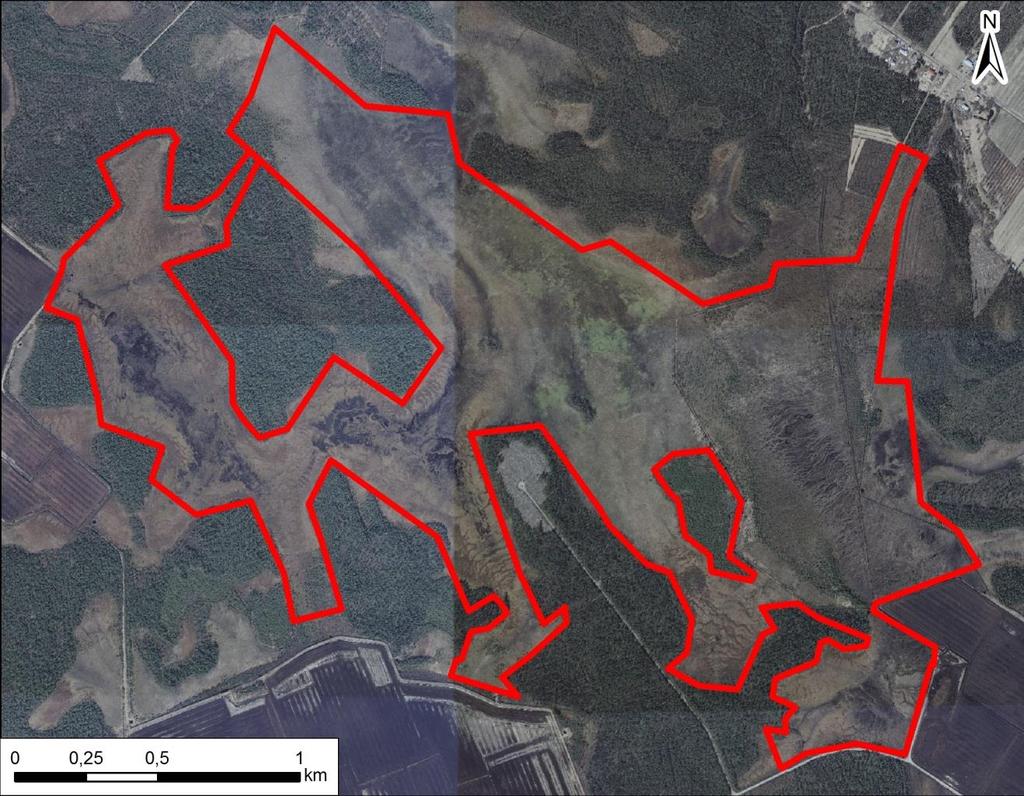 16.2.2016 4 (11) Kuva 2 Selvitysalueen rajaus ilmakuvalla. Valtion ympäristöhallinnon Oiva-tietokannan mukaan Polvisuon selvitysalueella ei ole Natura 2000 alueverkostoon kuuluvia kohteita.