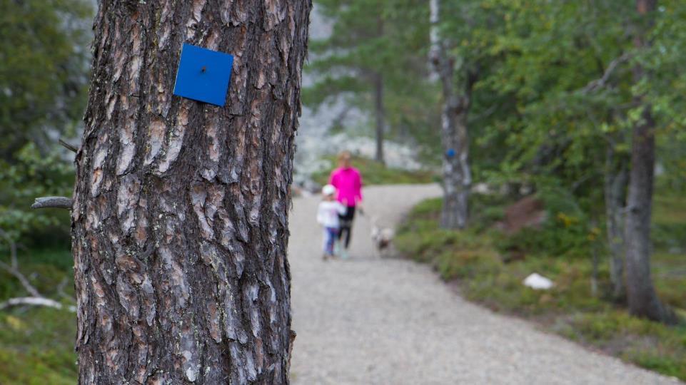 Turvallinen ja asiakaslähtöinen opastekokonaisuus Rovaniemi 18.4.