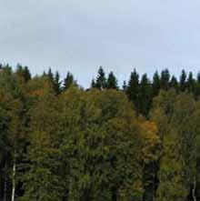 Alumiininen törmäyslista Virran