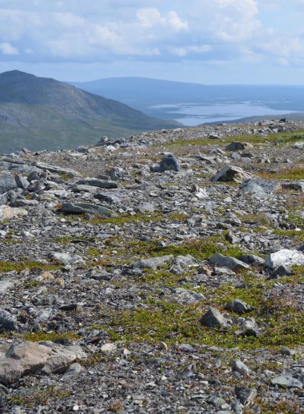 Ilmastonmuutos ja tunturiluonto Otso Suominen