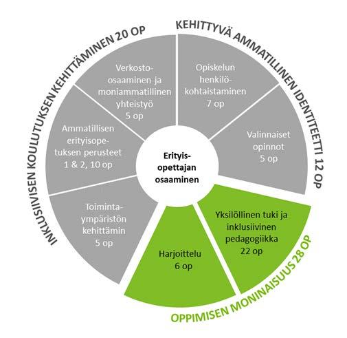 Yksilöllinen tuki ja inklusiivinen pedagogiikka 22 op Oppimisvaikeudet ja pedagogiset menetelmät 2 op Erityiset oppimisvaikeudet ja niihin liittyvät opetus- ja opiskelujärjestelyt 6 op Laaja-alaiset