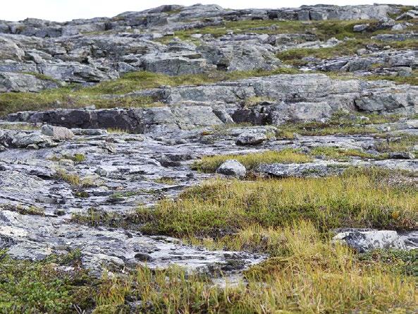 Veden huuhtomia kivikkoja on tunturialueiden harjujaksojen yhteydessä. Ne ovat kerrostuneet jäätikön sulamisvesitoiminnan tuloksena.