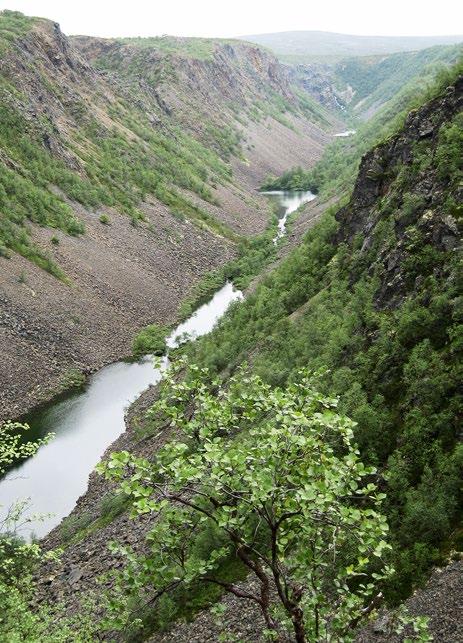 Kohoaminen oli ilmeisesti lohkoittaista, sillä jäännösvuoret ja muun muassa Inarin allasta ympäröivät tunturit kohosivat uudelleen horsteina (maankuoren lohkoina) (Mikkola 1932; Tanner 1938).