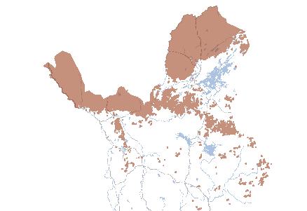 tuulten mukana, on myös metsänrajan muodostavia tunturikoivumetsiköitä. Eteläisillä erillistuntureilla tunturikoivikot ovat pienialaisia tai puuttuvat (Hämet-Ahti 1978; 1988).