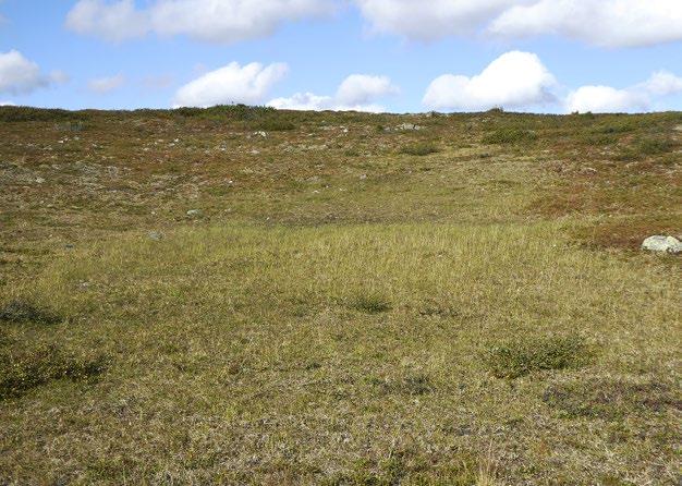 lumenviipymien ryhmätason karttaan. Levinneisyysalue vastaa ryhmätason levinneisyysaluetta, mutta esiintymisruutuja on todennäköisesti jonkin verran vähemmän.