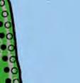 5.2013 44).