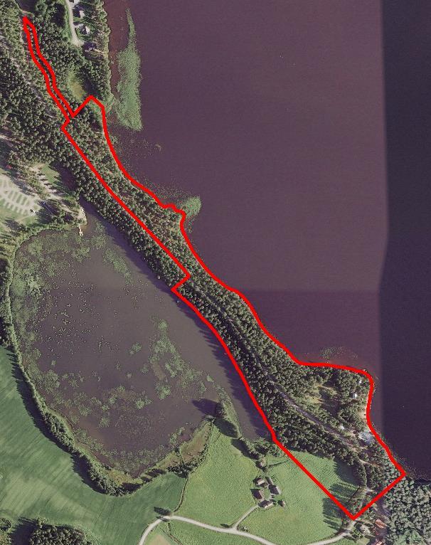 Alueella sijaitsee leirintään liittyvää tiestöä ja mökkejä. Metsäpohja on monin paikoin kulunut ja osin heinittynyt.