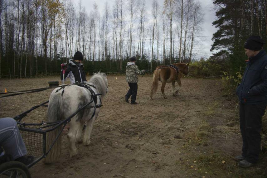 Osallistujien arviointeja 1,5h liian lyhyt aika Kaikki toivoivat jatkoa Arki unohtui, mieli ja hermot lepäsivät Kotiin aina virkeämpänä, seuraavaa kertaa odotti