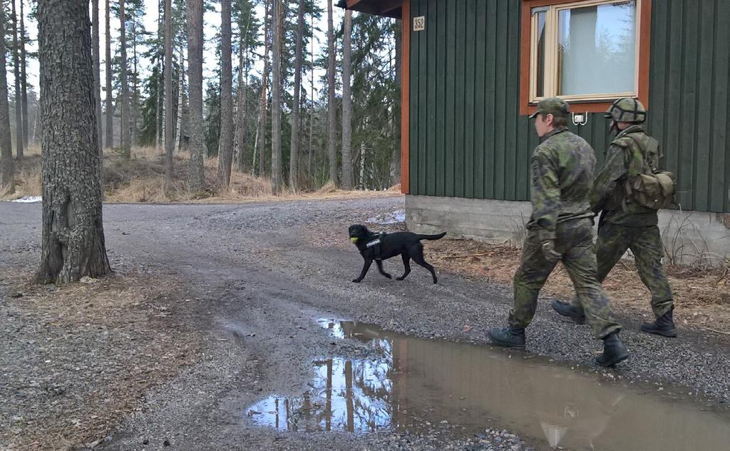 Tänä vuonna osallistuin maakuntajoukkojen viestikurssille, joka osoittautui melko lyhyeksi.