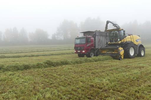 Kolmenkymmenen sentin ojennettu korkeus vastaa 1 300 kg/ka hehtaarimassaa hyväkuntoisessa nurmikasvustossa. Korkeusmittaus yliarvioi aukkoisen nurmen sadon. nyt kuuteen senttiin kuiva-ainekilolta.