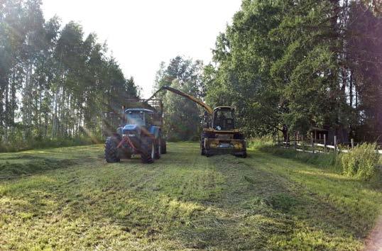 Käytettynä ostetulla ajosilppurilla rehunteko etenee nopeasti ilman suurta pääomakustannusta. Lisävaatimuksena on kuitenkin hyvät korjaus- ja huoltotaidot. Tilalla 3 rehu urakoidaan noukinvaunulla.