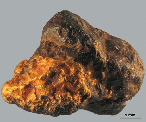 (B) Well-rounded, goethite and hematite bearing nugget from Miessijoki at Lemmenjoki area. tia kultaa).