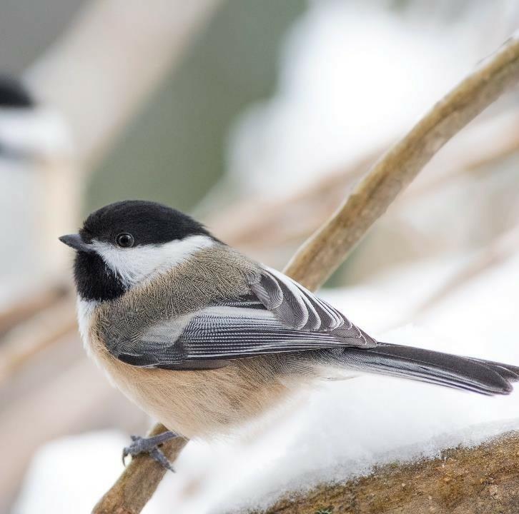 fi Vesihuoltolaitosten kehittämisrahaston haku kevät 2019 Kehittämisrahaston