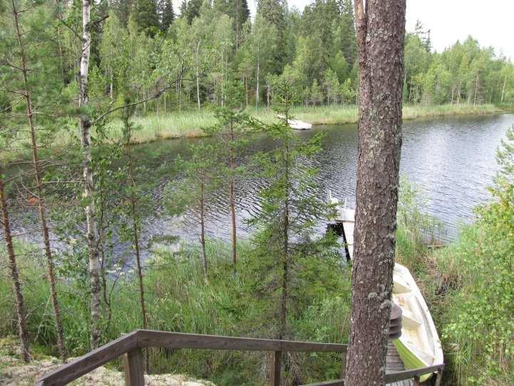 Alueen lintulajisto todettiin tavanomaiseksi eikä alueella todettu merkkejä liito-oravan oleskelusta tai liito-oravalle soveliasta elinympäristöä. Kuva 6.