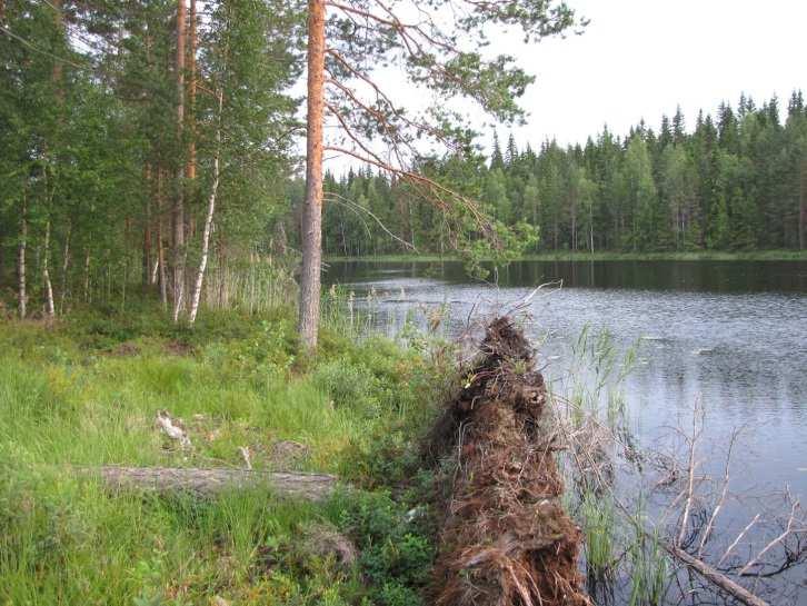 20 Kuva 18. Meruunlammen kapeaa luoteisosaa itärannalta kuvattuna. Kuva 19. Meruunlampea kaakosta kuvattuna.