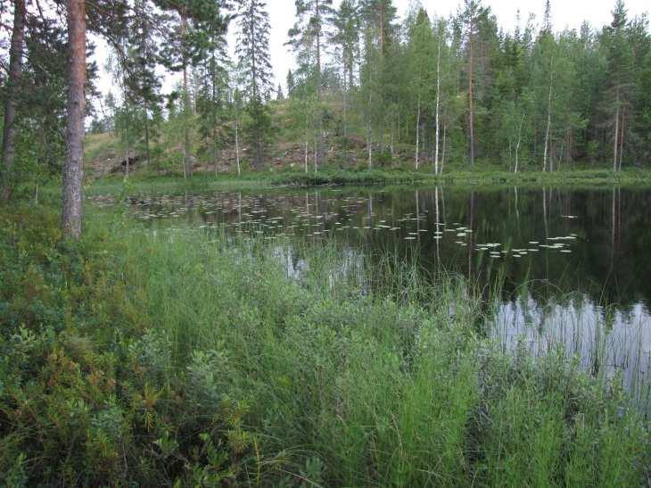 Erityisesti järven pohjoisosan rannat todettiin kivisiksi (Kuva 22.). Järven eteläosa ja Mullahden alue ovat puolestaan hietamaita.