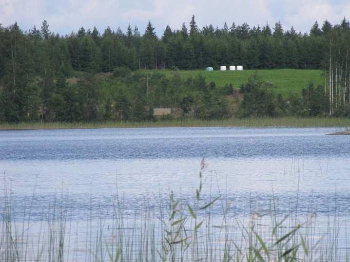 Alueella ei todettu rauhoitettuja tai uhanalaisia kasvilajeja, uhanalaisia lintulajeja tai uhanalaisille lajeille (direktiivin IV(a) lajit) soveltuvia elinympäristöjä, jotka