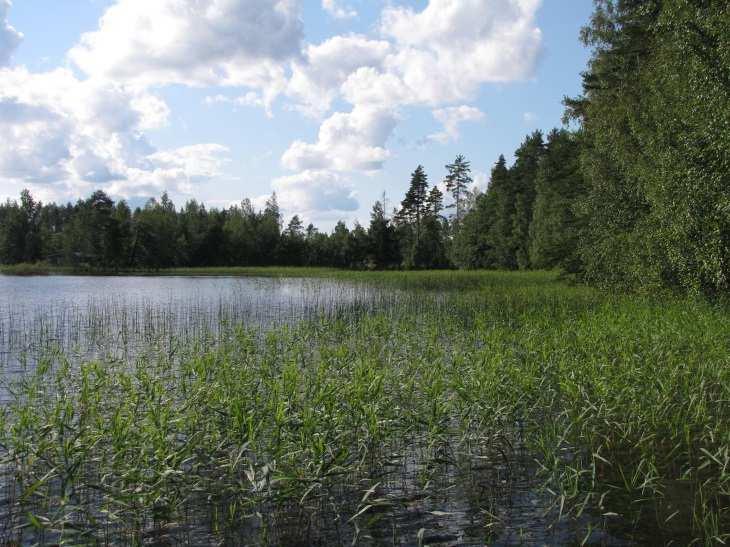 Sen sijaan urheilukentän alueen varaaminen edelleen ko. käyttöön ei liene perusteltua vähäisen käytön vuoksi (Kuva 35