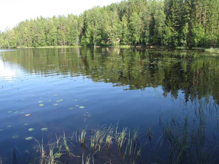 Rannat ovat hietapohjaisia, lahden perukoissa hietamaan päällä on mutaa ja lahden keskellä on pienialainen niemi, jolla on loma-asunto.